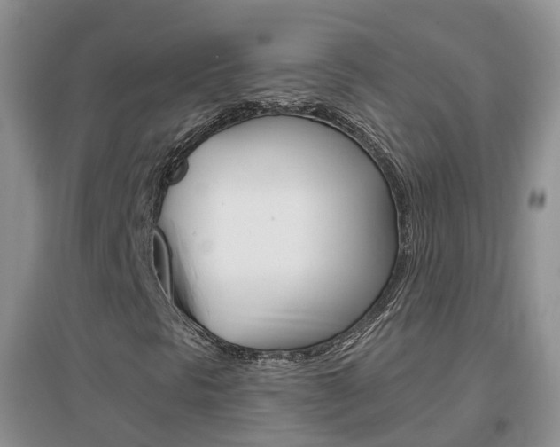 X0000096951297200802080912