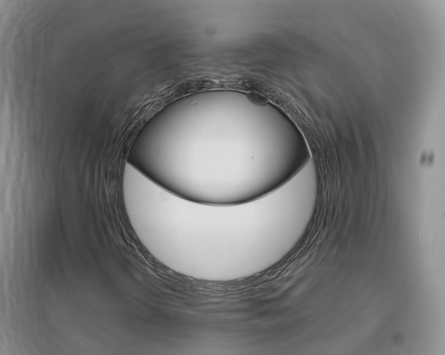 X0000096951298200802080912
