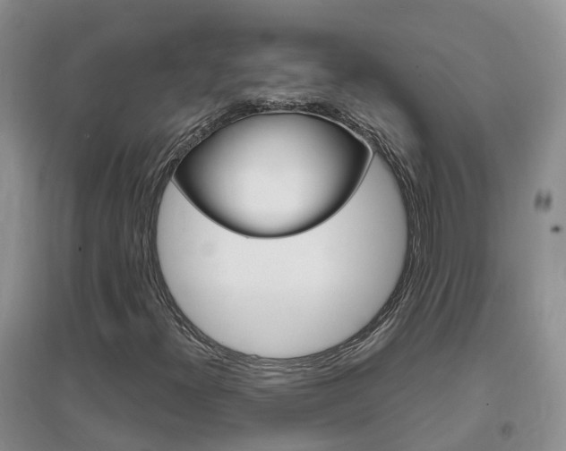 X0000096951300200802080912
