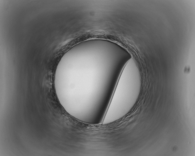 X0000096951301200802080912