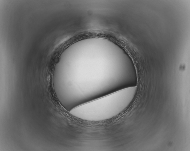X0000096951302200802080912