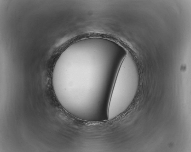 X0000096951303200802080912