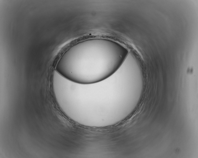 X0000096951304200802080912