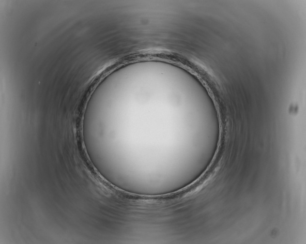 X0000096951305200802080912