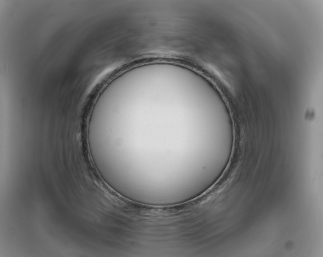 X0000096951307200802080912