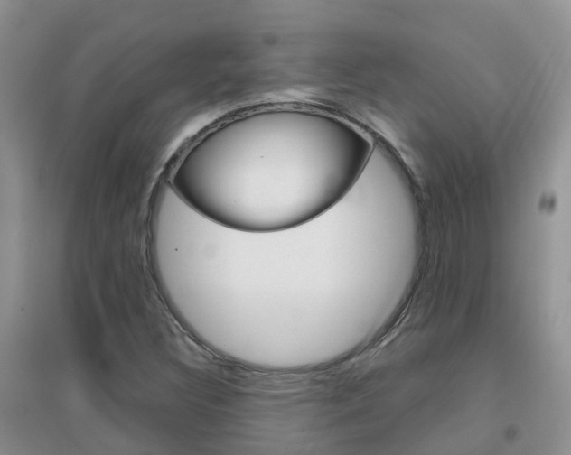 X0000096951308200802080912