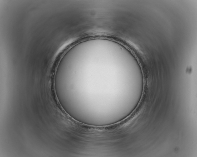 X0000096951309200802080912