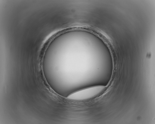 X0000096951310200802080912