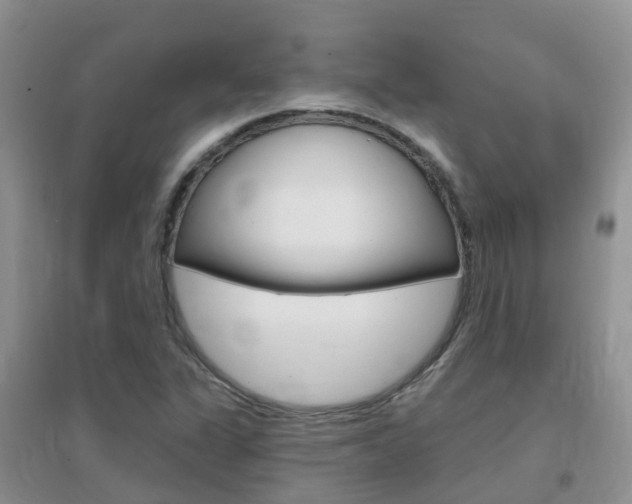 X0000096951311200802080912