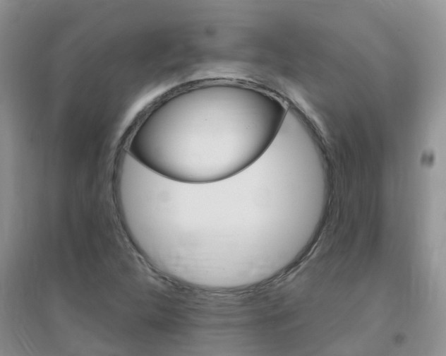 X0000096951312200802080912