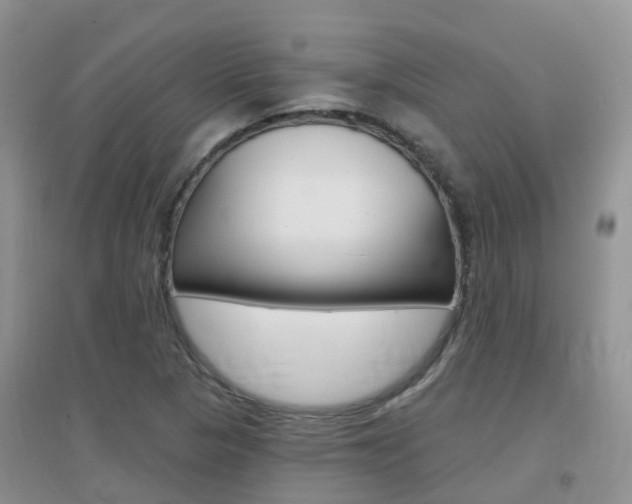 X0000096951313200802080912