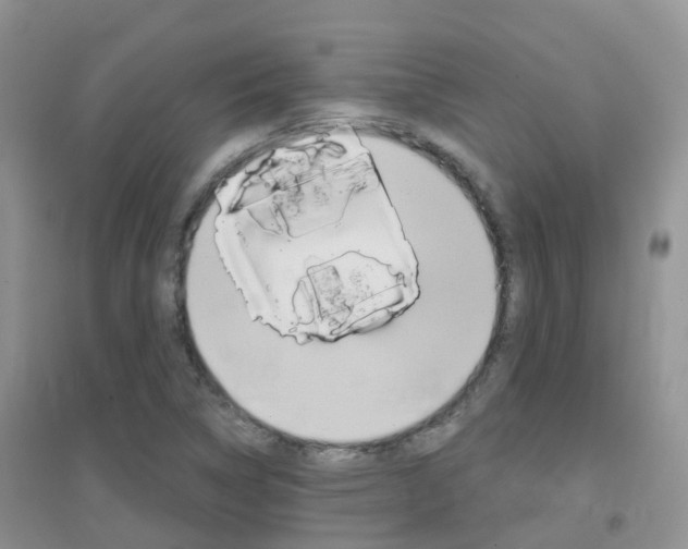 X0000096951314200802080912