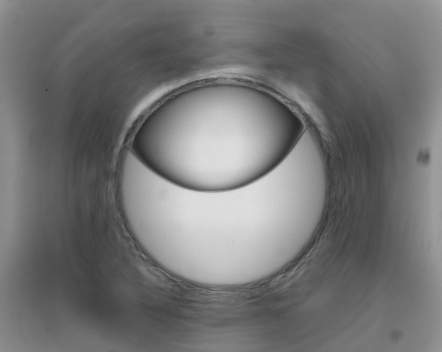 X0000096951316200802080912