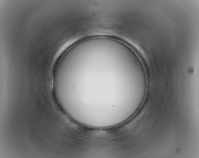X0000096951317200802080912