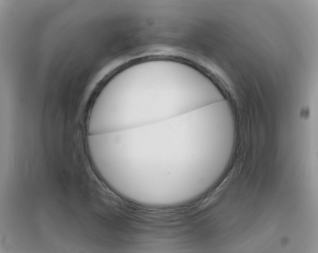 X0000096951318200802080912