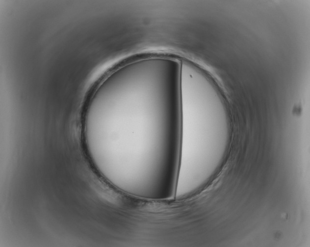 X0000096951319200802080912
