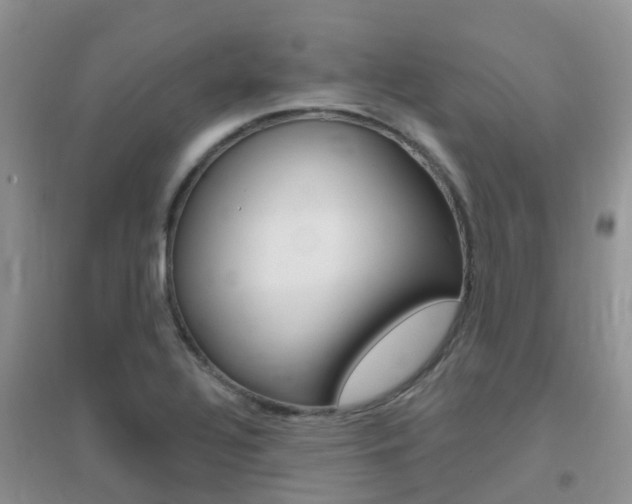 X0000096951320200802080912