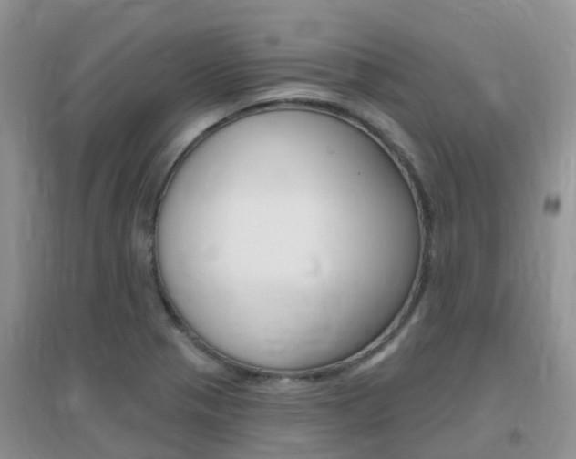 X0000096951321200802080912