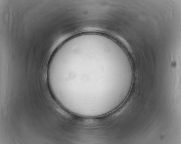 X0000096951322200802080912