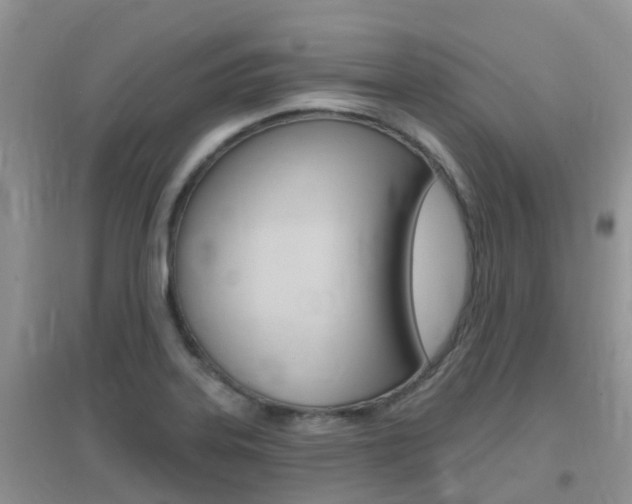 X0000096951323200802080912