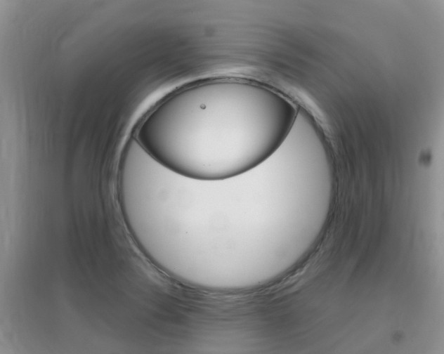 X0000096951324200802080912