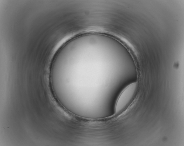 X0000096951325200802080912