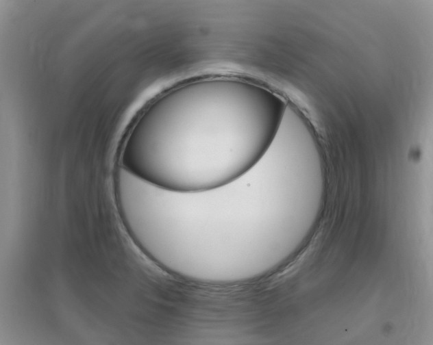X0000096951326200802080912