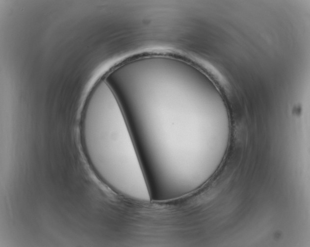 X0000096951327200802080912