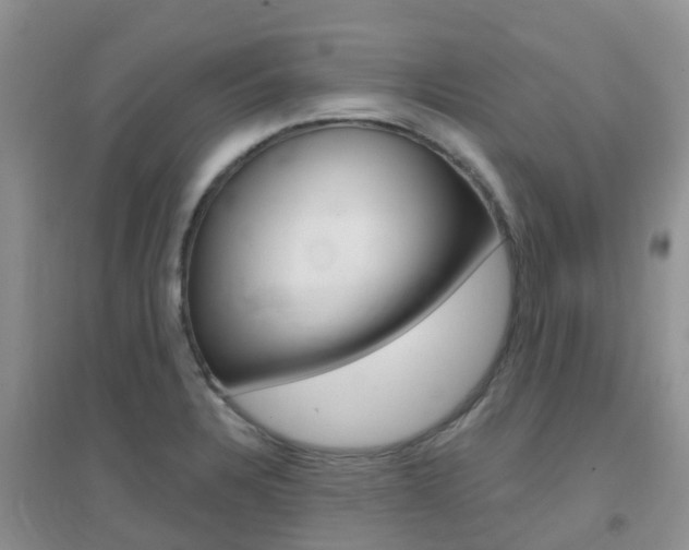 X0000096951328200802080912