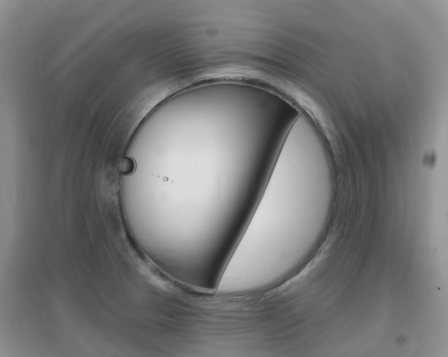 X0000096951329200802080912