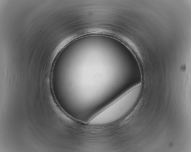 X0000096951330200802080912