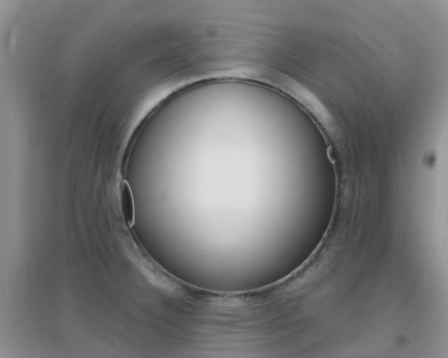 X0000096951332200802080912