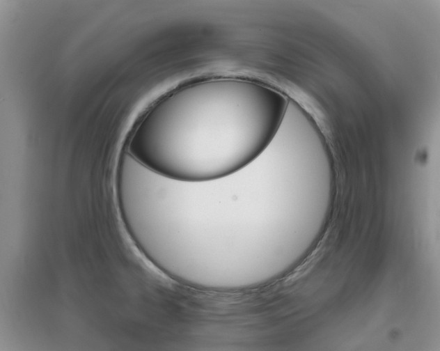X0000096951334200802080912