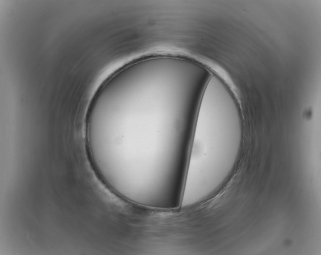 X0000096951335200802080912
