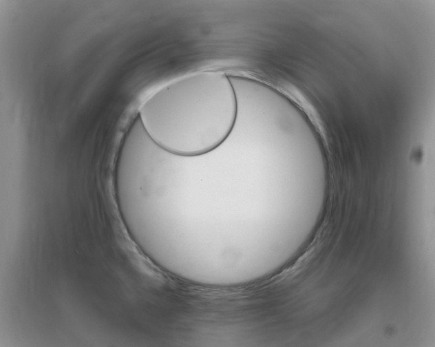 X0000096951336200802080912