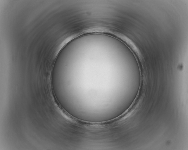 X0000096951337200802080912