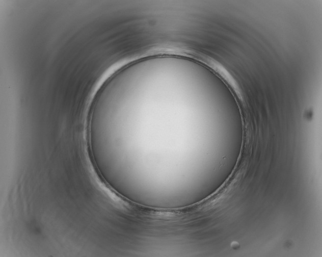 X0000096951339200802080912
