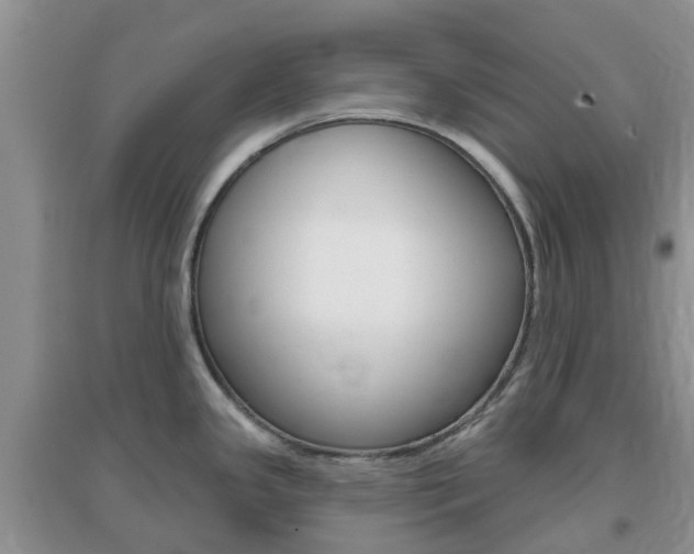 X0000096951341200802080912