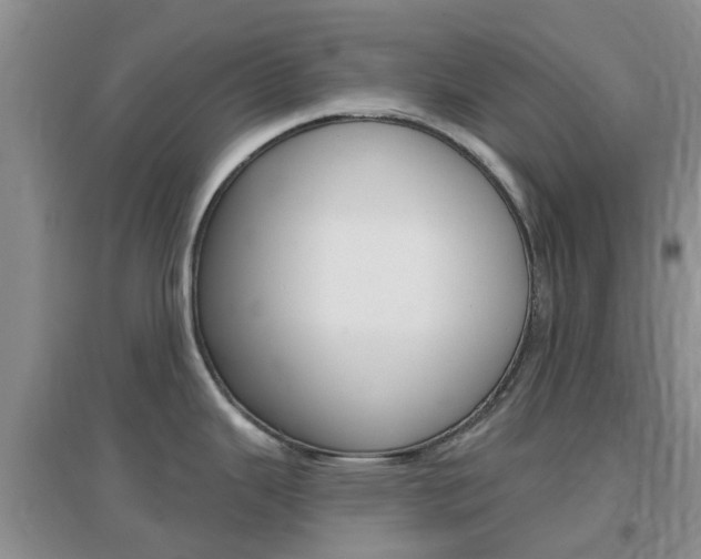 X0000096951343200802080912