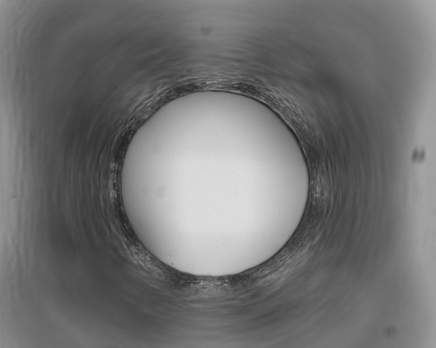 X0000096951346200802080911