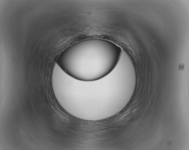 X0000096951348200802080911