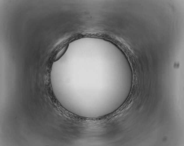 X0000096951350200802080911
