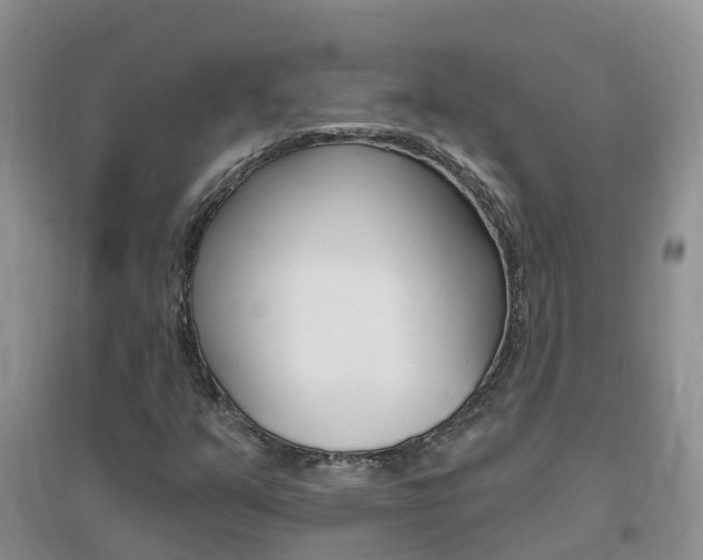 X0000096951351200802080911
