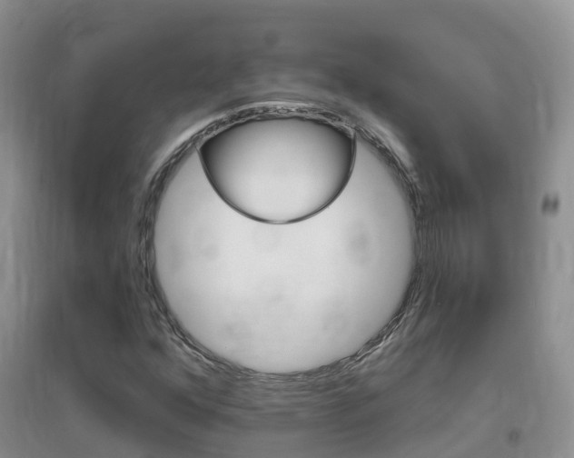 X0000096951352200802080911
