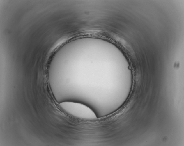 X0000096951354200802080911