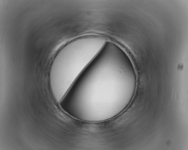 X0000096951355200802080911