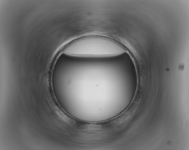 X0000096951356200802080911