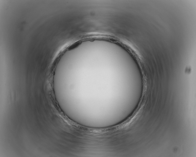 X0000096951357200802080911