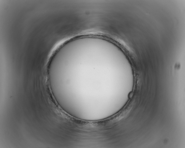 X0000096951358200802080911