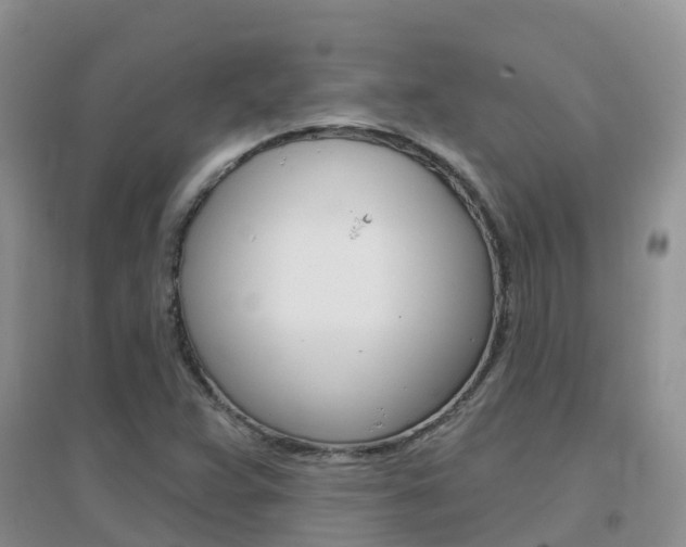 X0000096951359200802080911